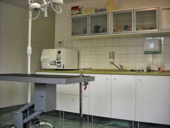 MVDr. Blanka Sedláková, veterinárna ambulancia
